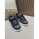 Dior B9S Skater Sneaker